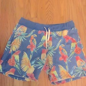 Chubbies “Schwort”